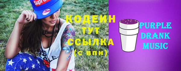 гидра Пересвет