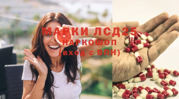спиды Абаза