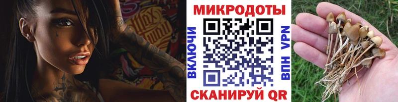 Галлюциногенные грибы Cubensis Ужур