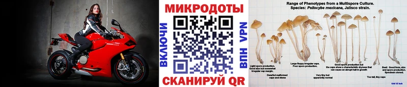 Галлюциногенные грибы Psilocybine cubensis  Ужур 
