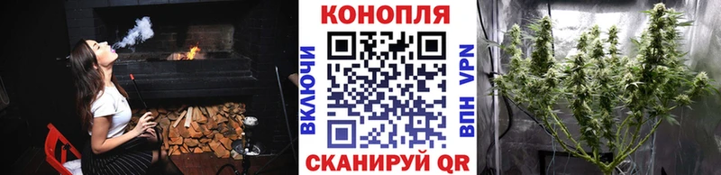 Канабис SATIVA & INDICA Ужур